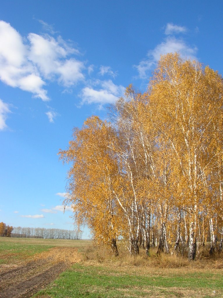 Золотая осень