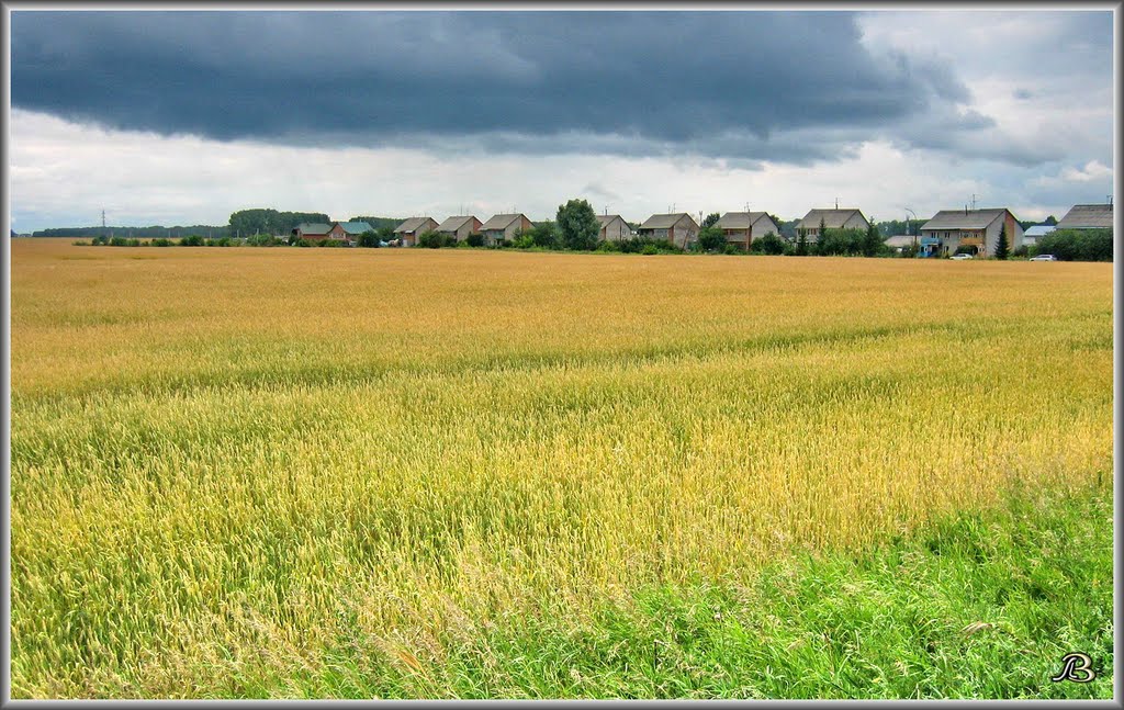 "Elite" village + Field of Gold. / Посёлок Элитный + поле.
