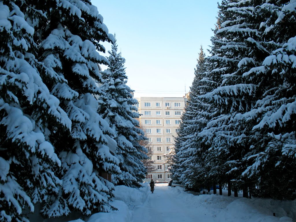Сибирские джунгли..