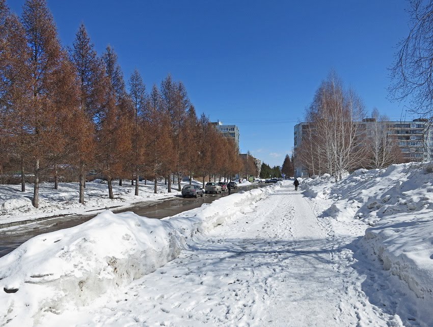 между ТЦ и рынком