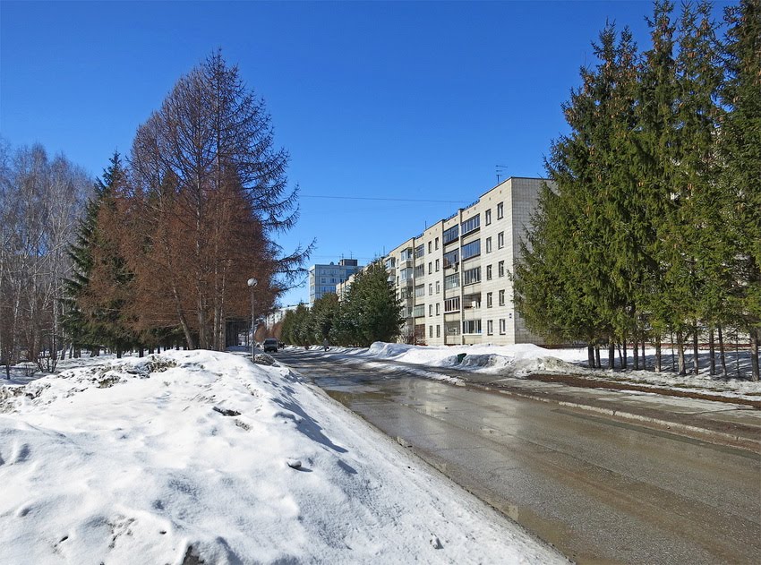 дом 41