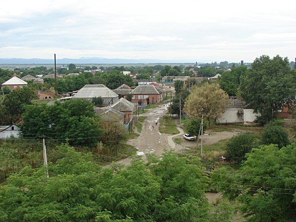 После дождя