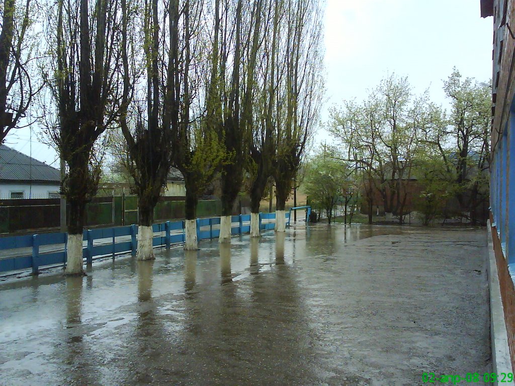 2 апреля 2008 9:29