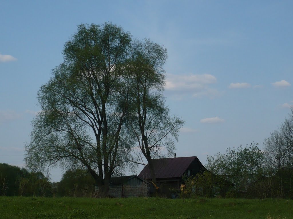 old house