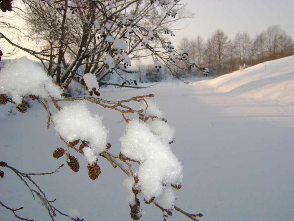 Зимнее утро