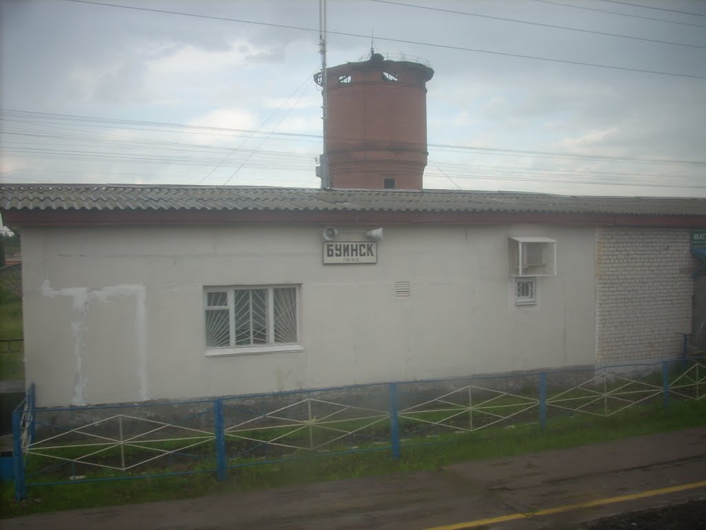 Станция Буинск