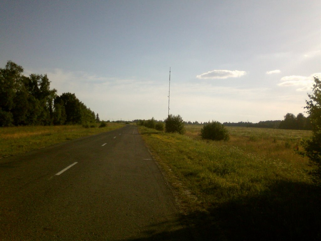 Дорога в Березовку