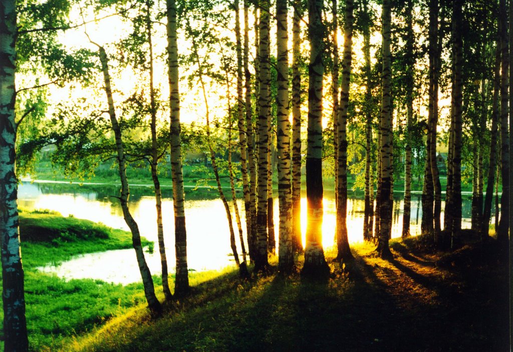 Buinsk