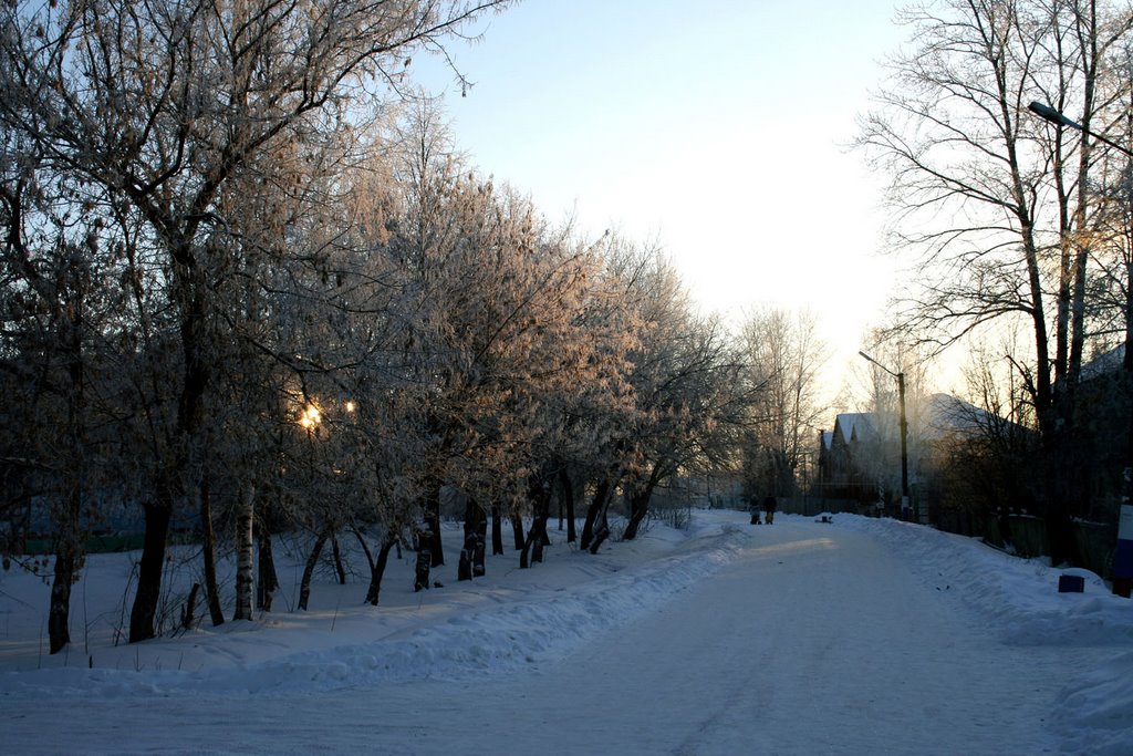 Улица Маресьева