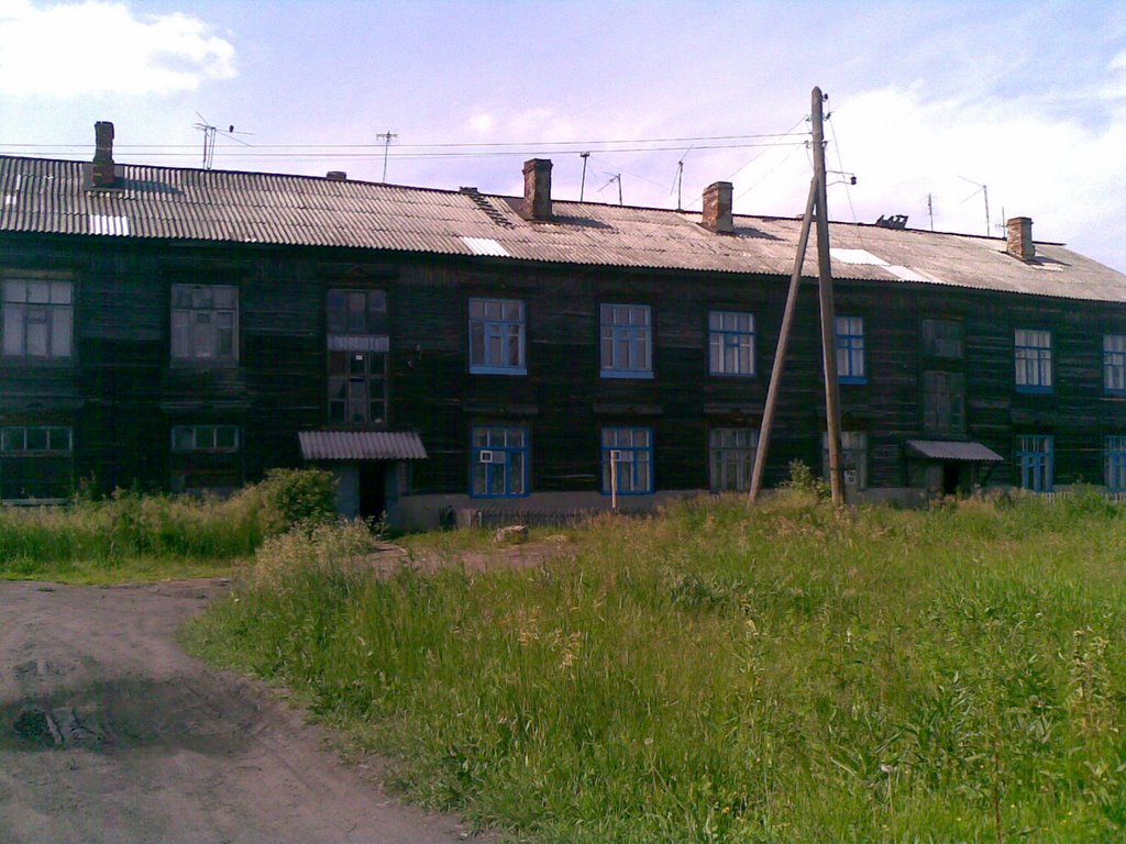 The house in village
