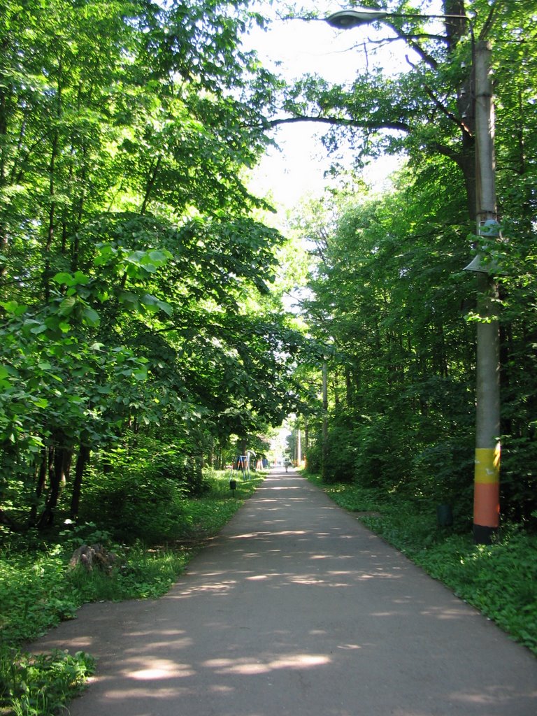 в парке
