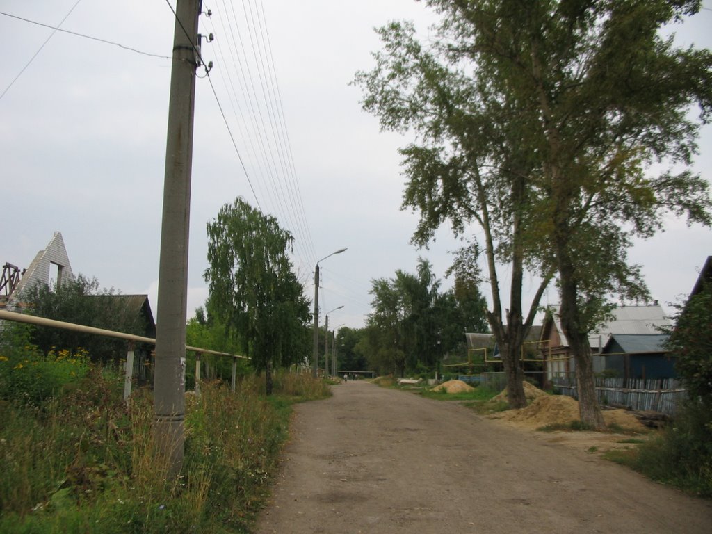 Ул. Лесная