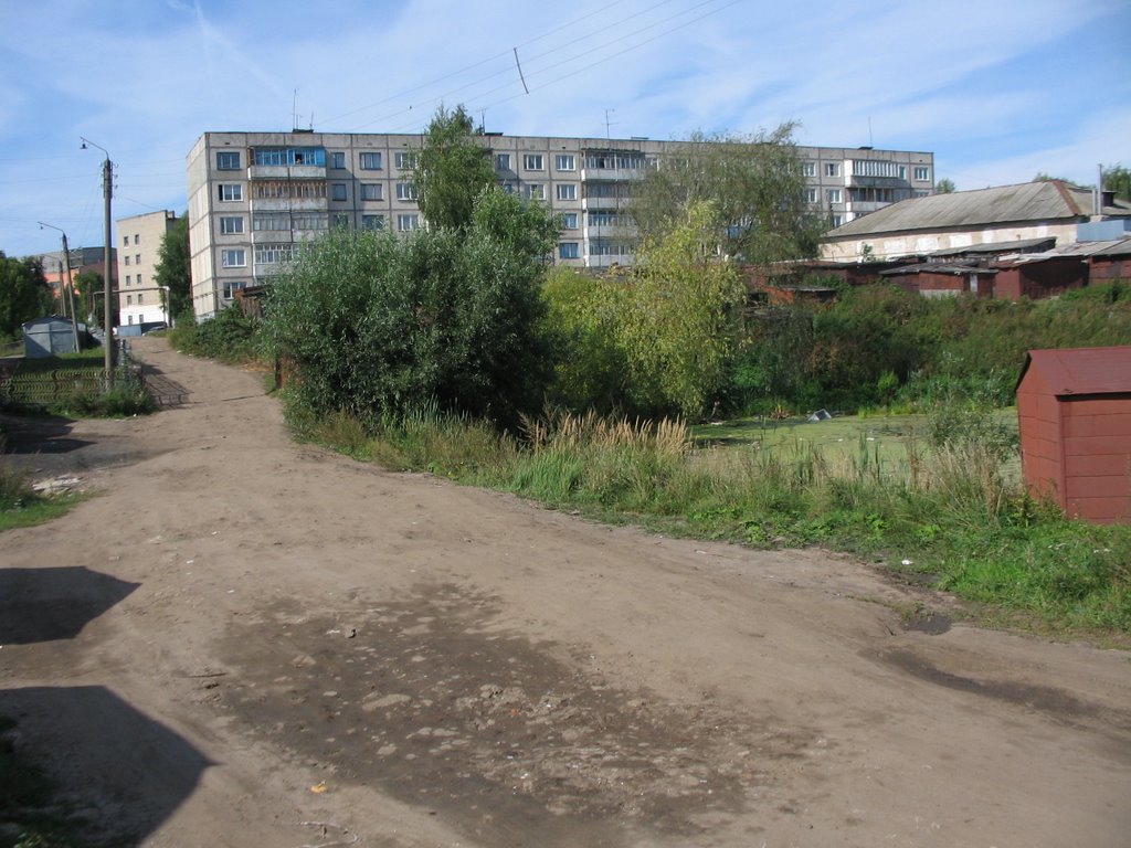 около гаражей в западном районе