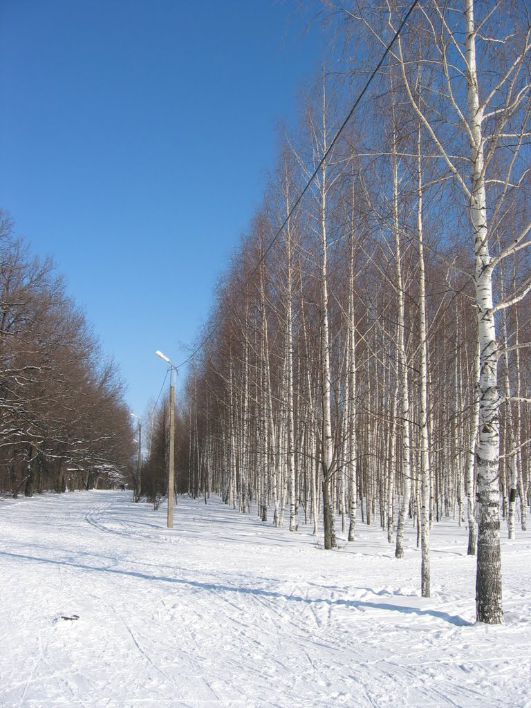 26.02.2010