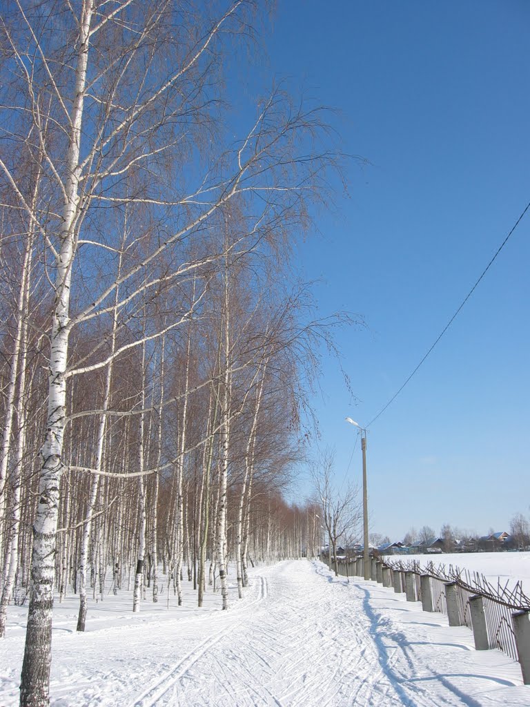 26.02.2010