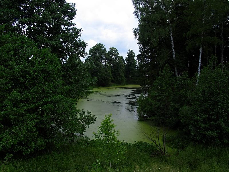 лето(summer)