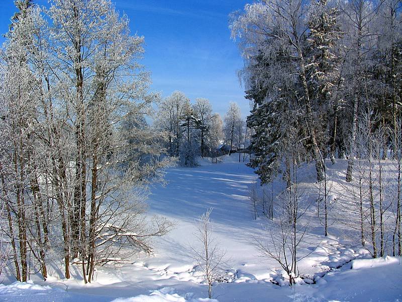 зима(winter)