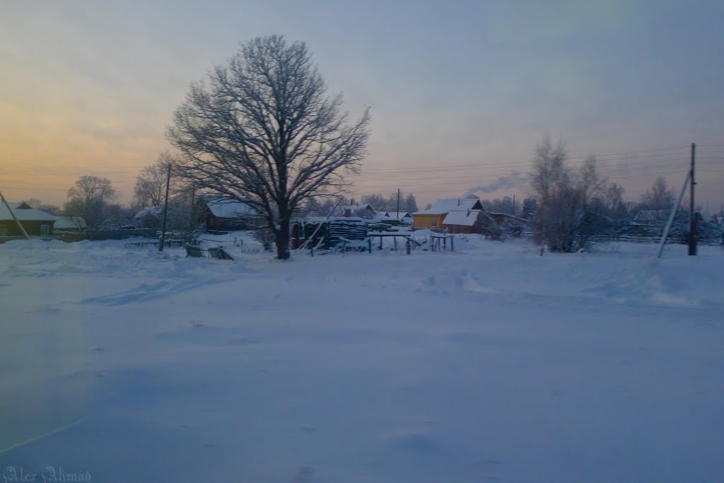 зима 2013