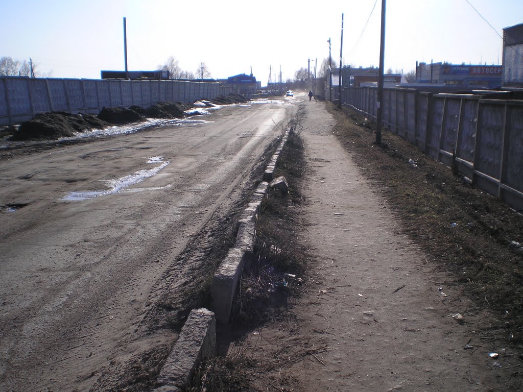 Сквозь забор