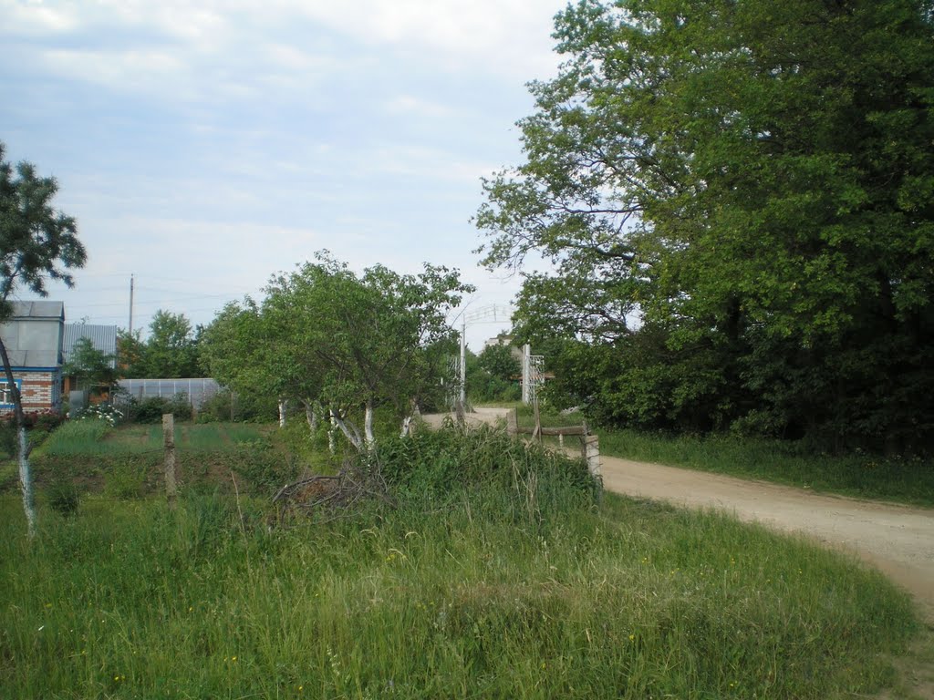 Дубрава
