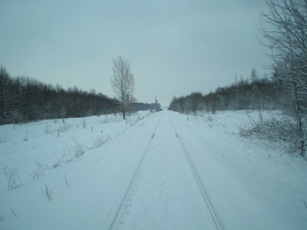 в новчик