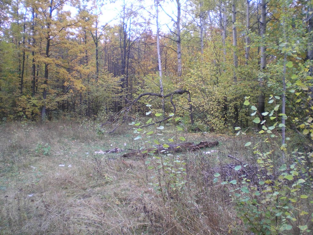 заломало