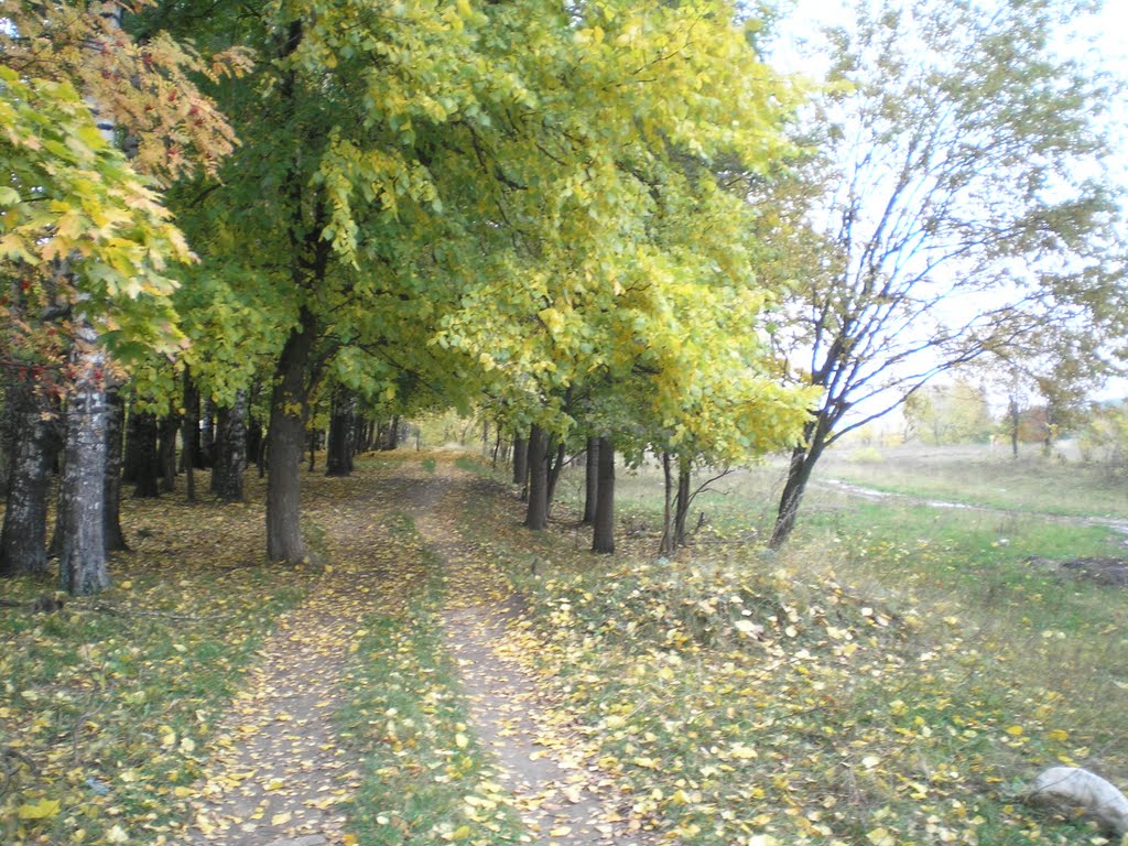 загадочная тропа