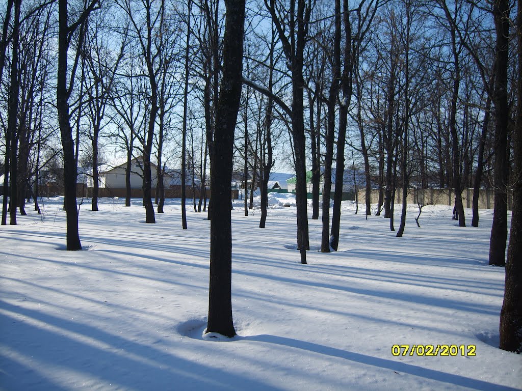 за лесом