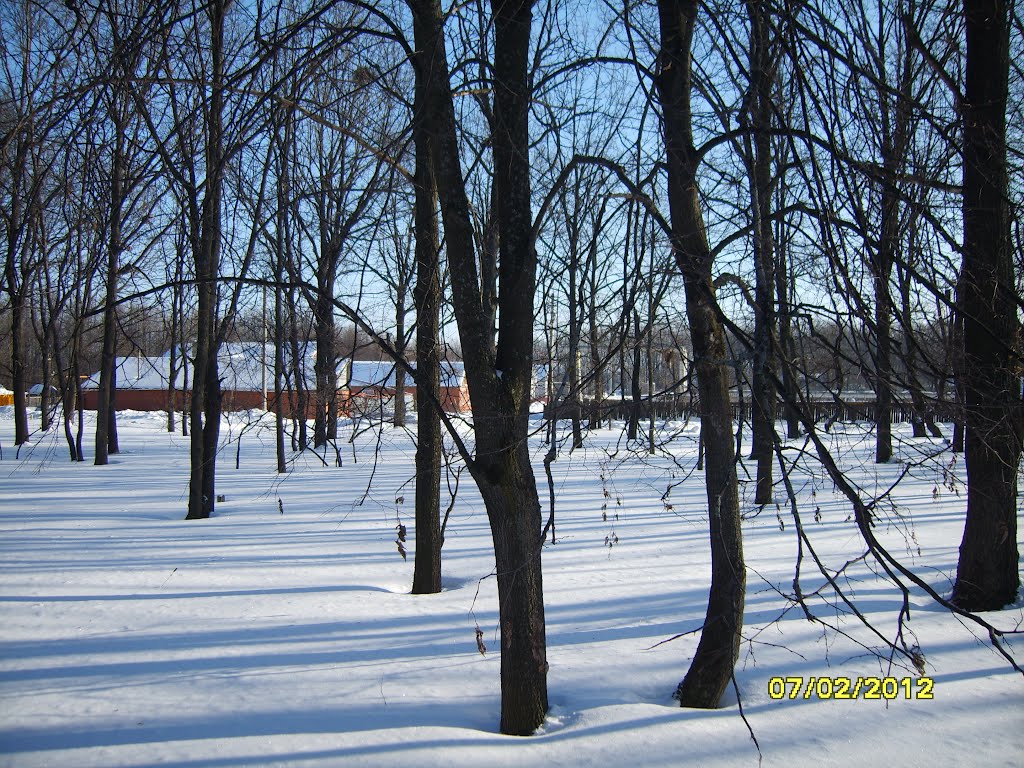 теневое панно