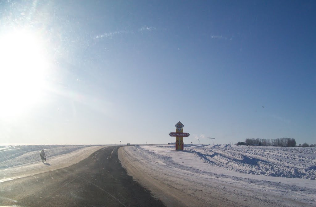 Моргауши
