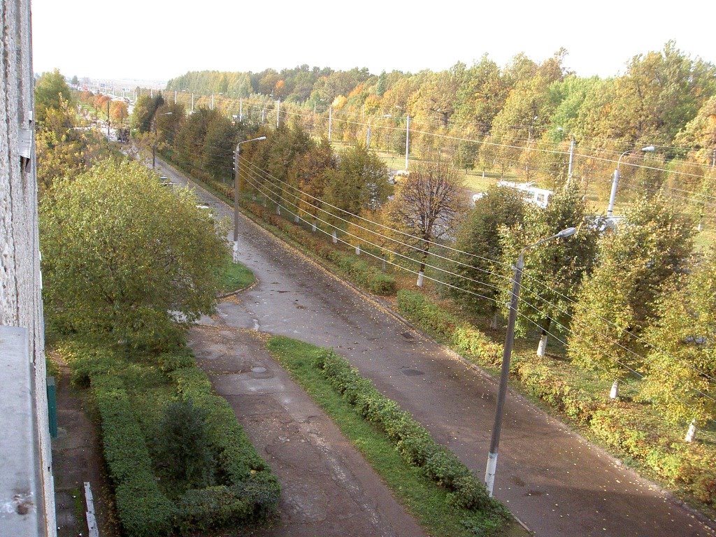 дорога из окна