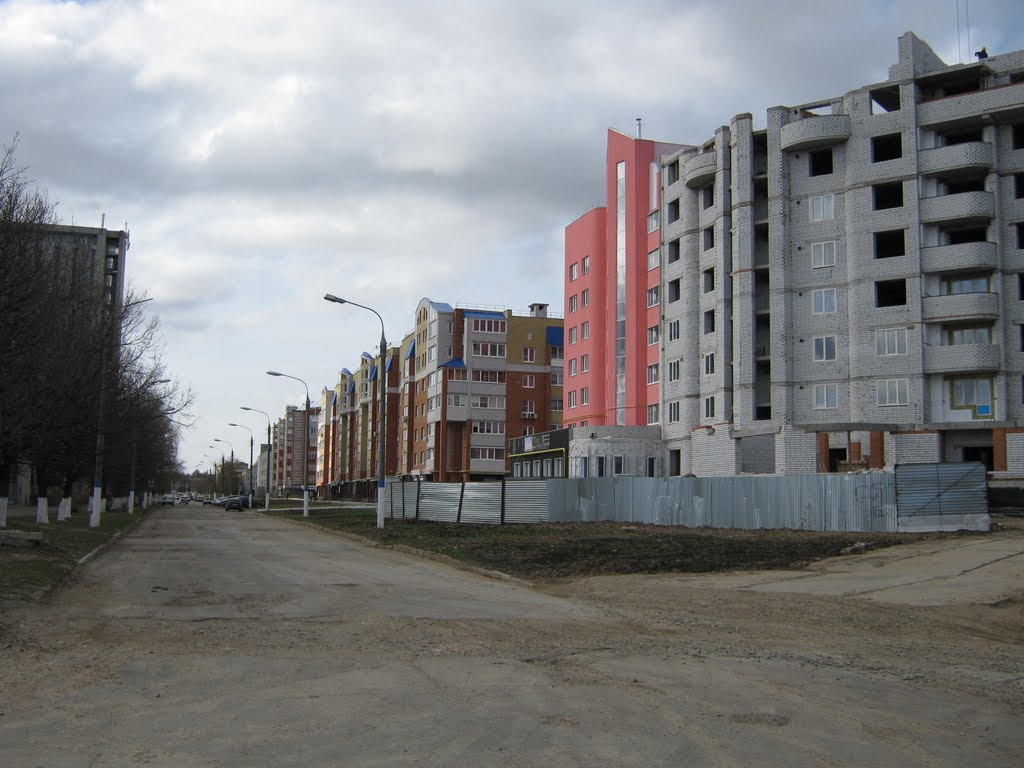 Начало улицы Винокурова (Вид на юг)  /  The beginning of Vinokurov street (View on south)