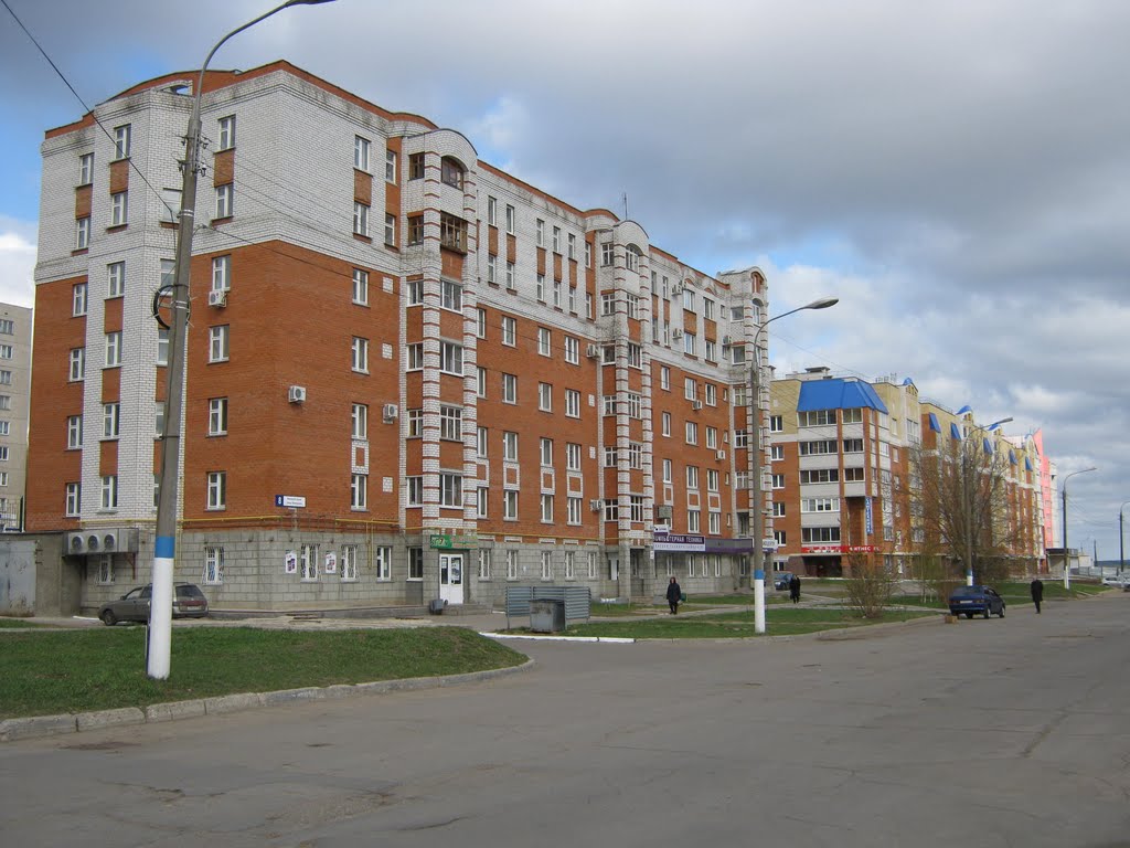 Дом №8 по улице Винокурова  /  House №8 on the Vinokurov street