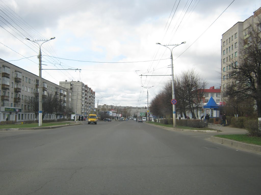 Улица Винокурова (Вид на юго-запад)  /  Vinokurov Street (View on south-west)