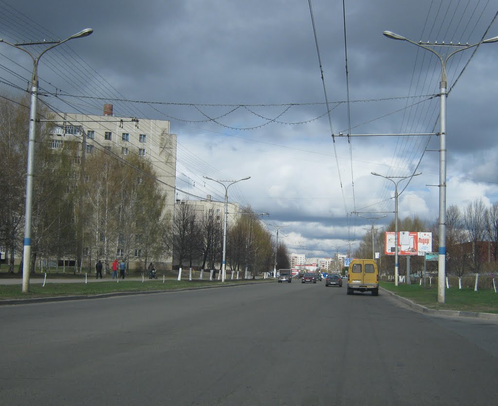 Улица Винокурова (Вид на запад)  /  Vinokurov Street (View on west)