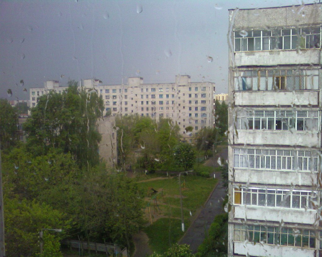 The rain