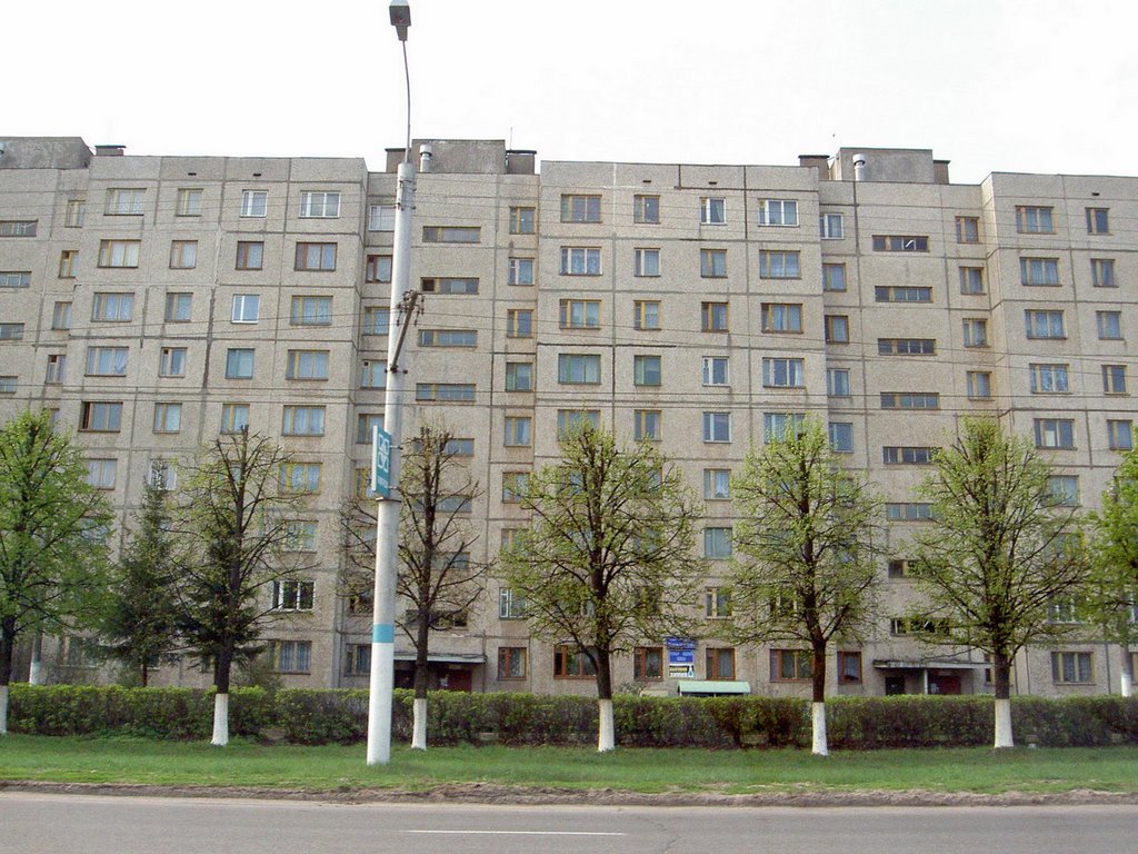вид из Рощи на наш дом