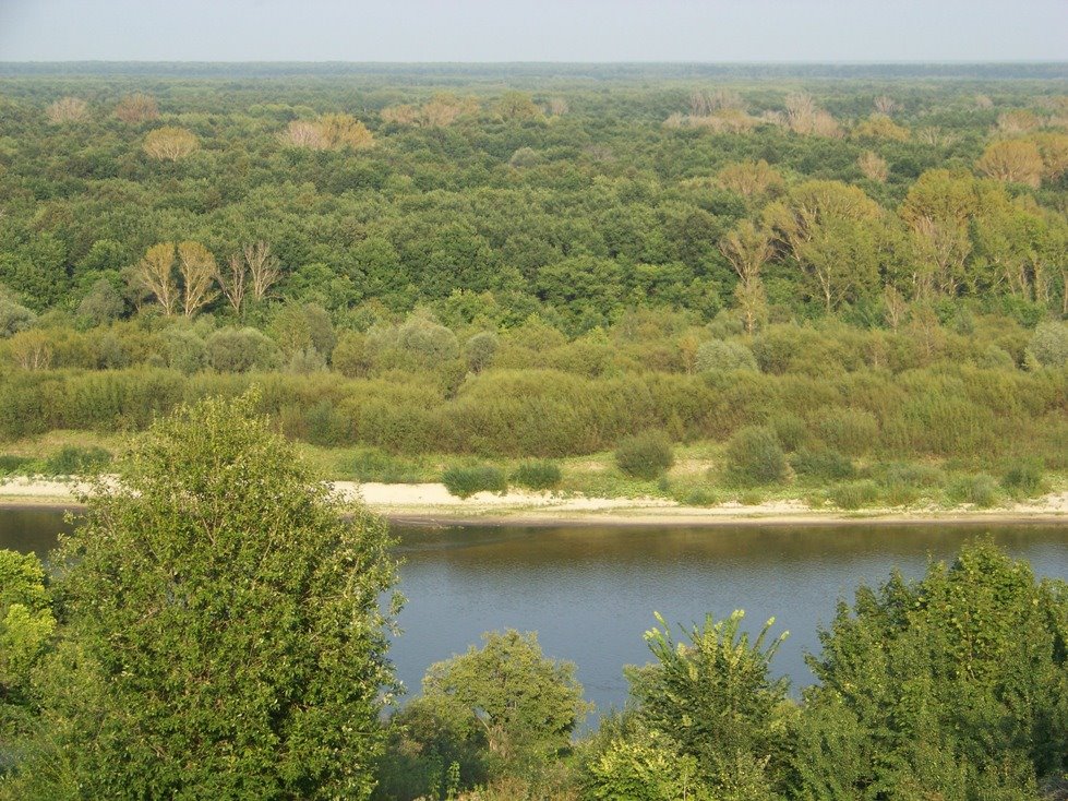 Sura river Река Сура Вид из с. Порецкое