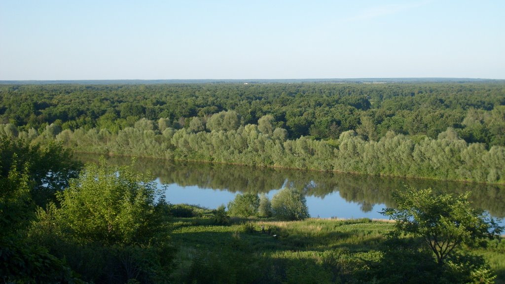Сура