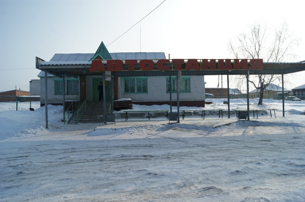 Порецкое, автостанция (февраль 2013)
