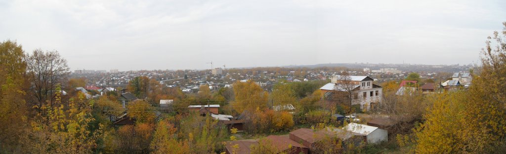 вид с Президентского бульвара_2