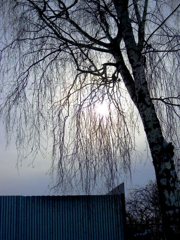 Зимнее солнце.