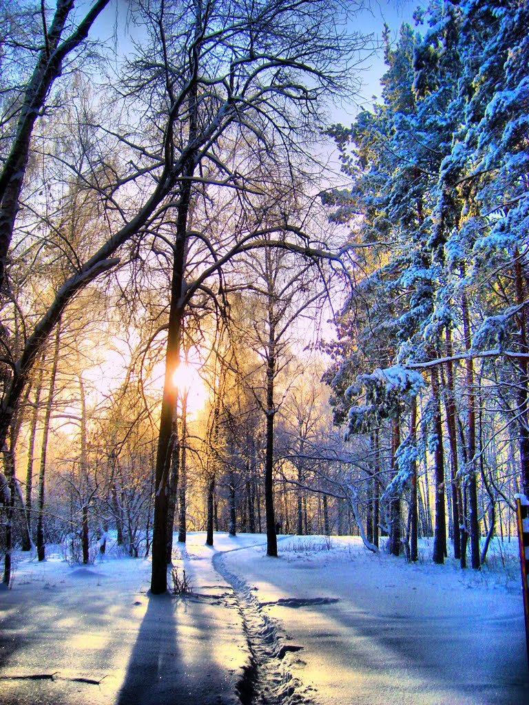 Городской парк - City park