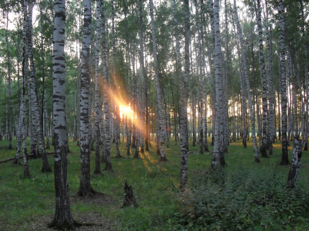 Закат