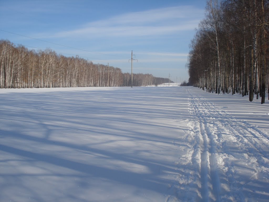 Лыжня