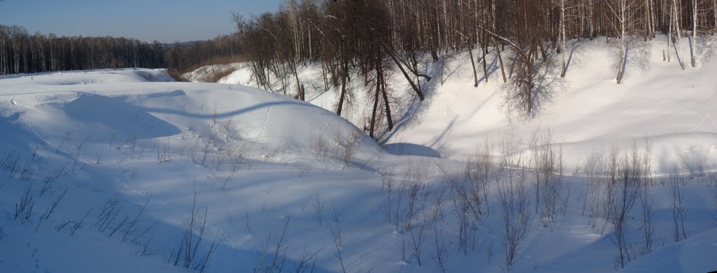 Цыганский овраг