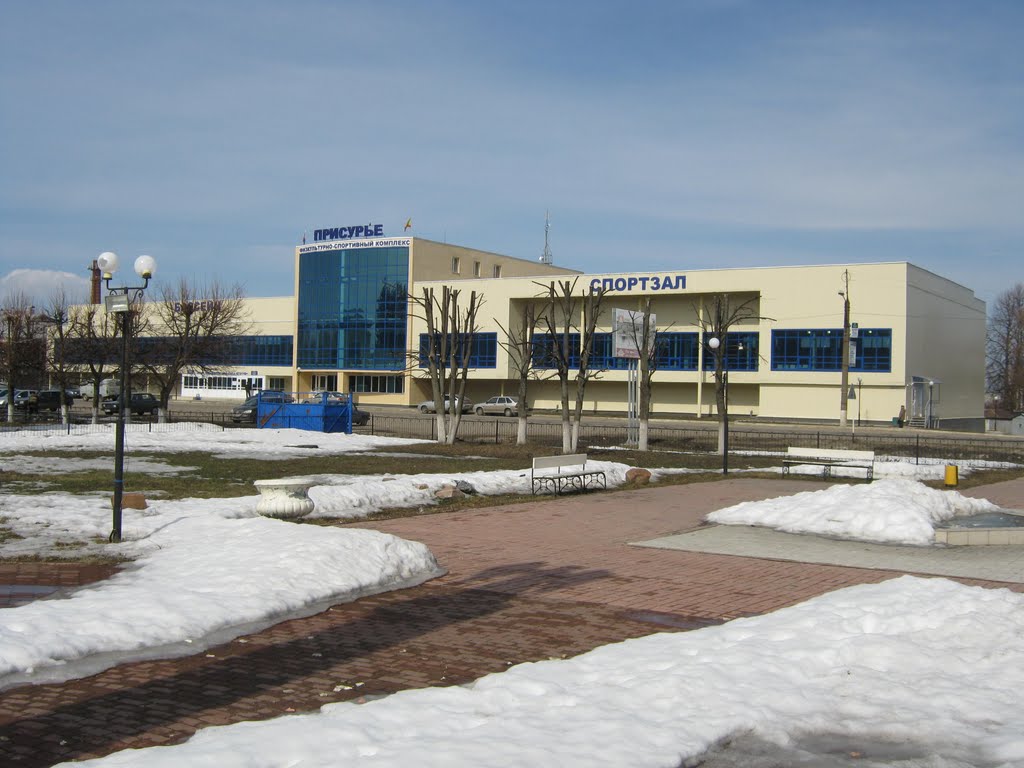 Физкультурно-спортивный комплекс "Присурье"  /  Physical culture and sports complex "Prisure"