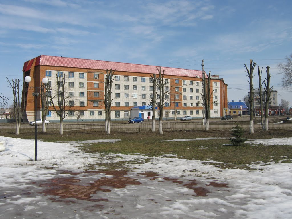 Обритые тополя  /  Shaved poplar