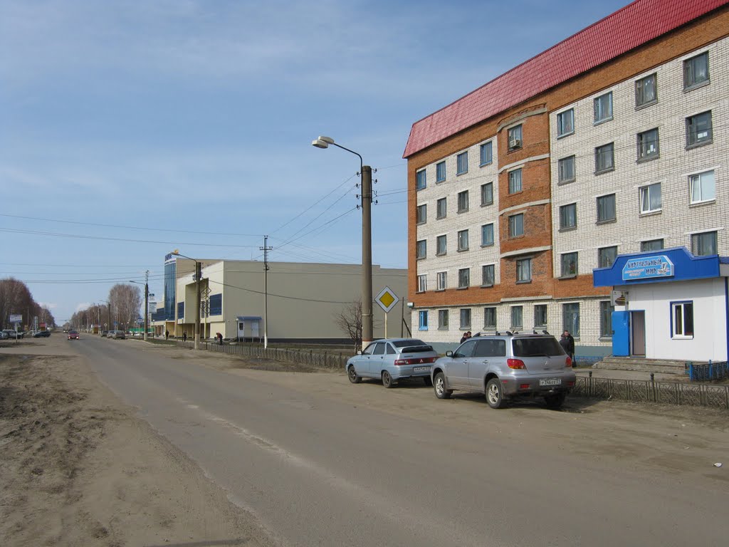 Улица 30 лет Победы (Вид на запад)  /  Street of 30 years of the Victory (View on west)