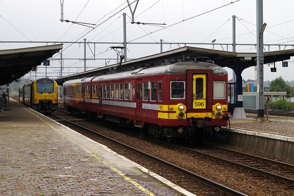 AM66